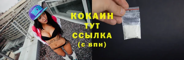 амф Богданович