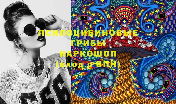 сатива Белокуриха