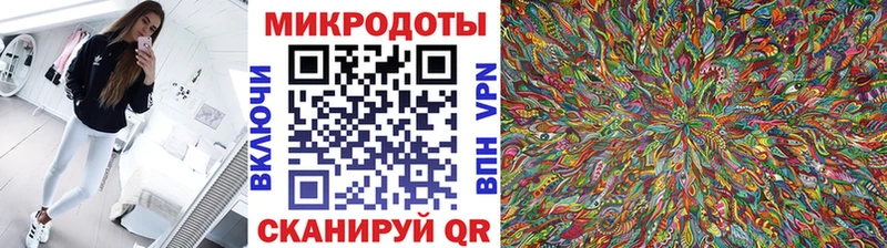 Галлюциногенные грибы Cubensis  Купить где  Дивногорск 